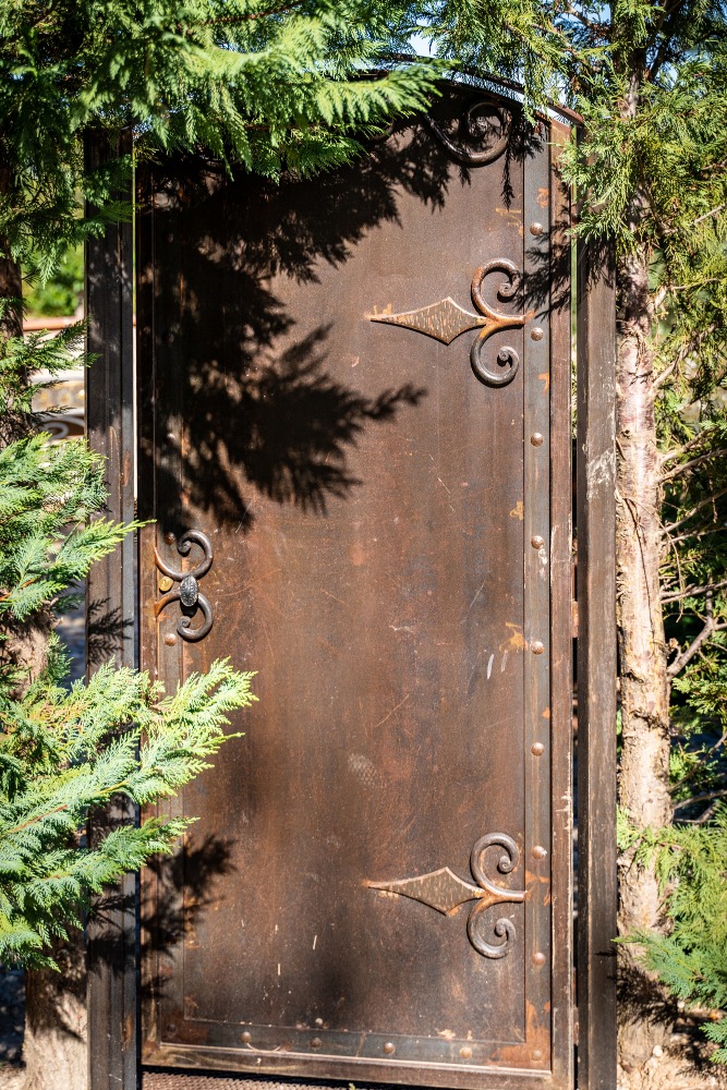 Portillon artistique en fer forgé, embelli par des motifs floraux inspirants et des arabesques minutieusement ciselées, parfait pour sublimer votre façade